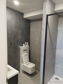 Pronájem kompletně zařízeného bytu 2+kk, 51 m² – Sedlec - 5