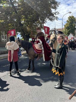WPBr plavá tříletá kobylka - 5
