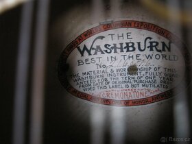 MANDOLÍNA WASHBURN - 5