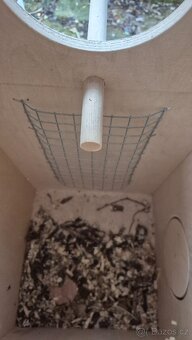 Budky pro papoušky - 5