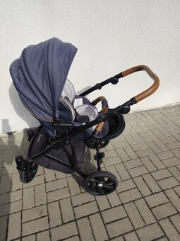 Kočátek tutis viva - 5