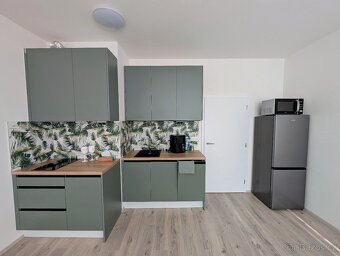 Pronájem bytu 1+kk 27 m² - 5