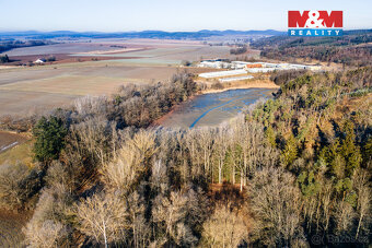 Prodej lesa, 685 m², Horšovský Týn - 5