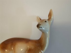 Srnka a srneček - 5