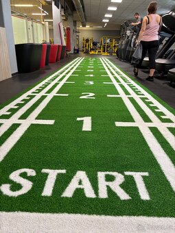SPRINT TRACK 12m x 2m - PROFI - 5