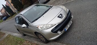 Peugeot 207 - 5