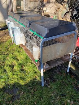 Králíkárna, výběh, odstavení - 5