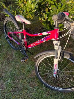 Dívčí kolo Superior Paint 24 - 5