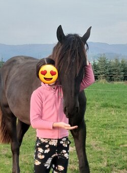 LUSITANO klisna s PP nar.v ČR - 5
