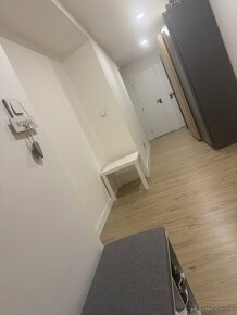 Byt 2kk, cihla, osobní vlastnictví 60m2, po rekonstrukci - 5