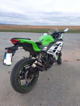 Kawasaki Ninja 300 30th anniversary edition - 5