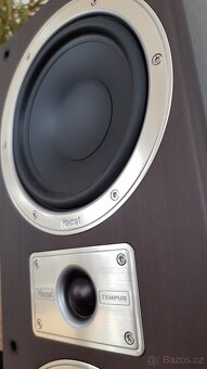 Magnat Tempus 77 - 5