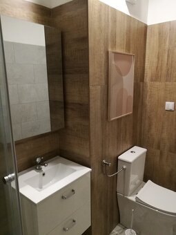 Byt 1+1, 36 m2 ve Stodu u Plzně - 5