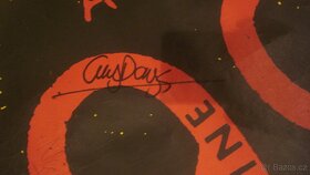 Punk - podepsané plagáty Dickies 999 Vibrators - 5