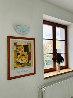 Pronájem nově zrekonstruovaného bytu - 5