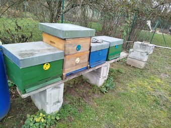 Prodej včelstva 39x17 - 5