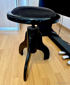 Predám KORG LP 350 BK - 5