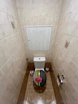 Pronájem bytu 2+1, 55 m² – Lužec nad Vltavou - 5
