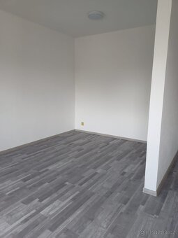 Slunný byt 2+kk (54 m²) k pronájmu Doksy - 5