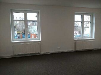 Pronajmu byt 2+1 - 5