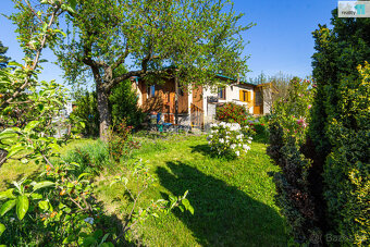 Prodej zahrady 418 m2 s chatou 18 m2 - 5