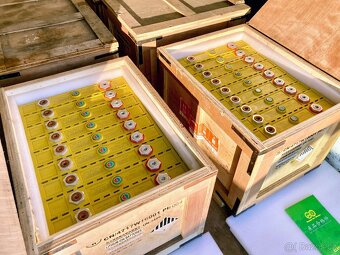 TOP baterie ThunderSky Winston LiFeYPO4 (260Ah,300Ah,400Ah) - 5