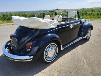 VW brouk Cabrio - 5