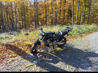 Honda Hornet 600F - 5