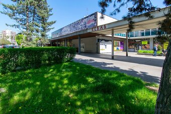 pronájem obchodních prostor 180 m2 - Ústí nad Labem - 5