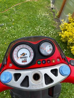 Skutr Derbi predator - 5