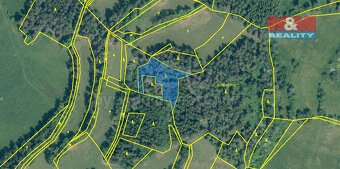 Prodej lesa, 4038 m², Volyně - 5