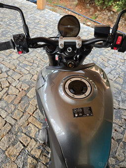 Triumph Trident 660 - 5