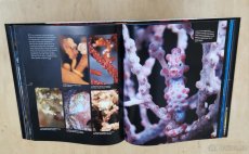 Útes - obrazová publikace - 5