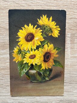 Staré pohlednice - 5