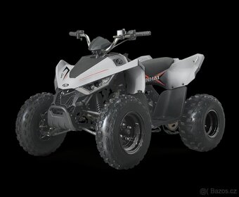 LINHAI ATV 110 2X4 EFI CE - 5