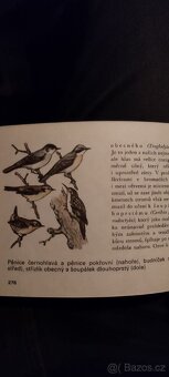 Rusko-český slovník+náš les albatros - 5