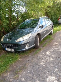 Peugeot 407 - 5