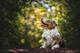 Meopta Meostigmat 77/1,7 Sony E a další - 5