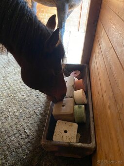 Aktivní ustájení - 5