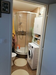 Výměna bytu 1+1 Kohoutovice - 5