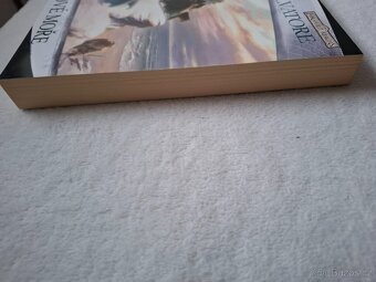 Mečové moře - R.A. Salvatore - 5