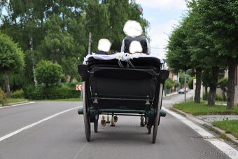 KOČÁR  za koně - SLEVA - 5