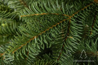 Prodám krásný 3D umělý vánoční stromek Jedle kavkazská 220cm - 5