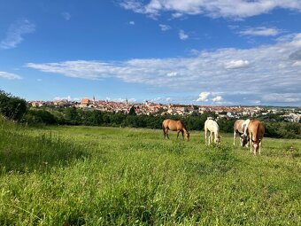 Ustájení Znojmo - 5