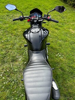 Suzuki SFV 650 Gladius - 5