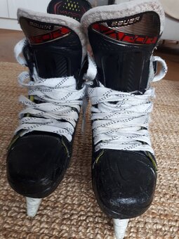 Brusle Bauer Vapor 2X, vel. 8,5 D, UK 9 - 5