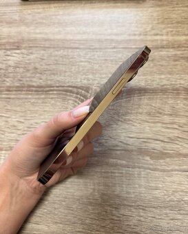 Iphone 13 Pro Max 256 gb - zlatý - 5