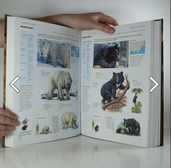 Kniha zvířata - 5
