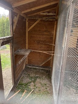 Prodáme voliery pro papoušky - 5