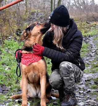 FIBI K ADOPCI - HODNÉ ZLATÍČKO, ZASLOUŽÍ SI MILUJÍCÍ RODINU - 5